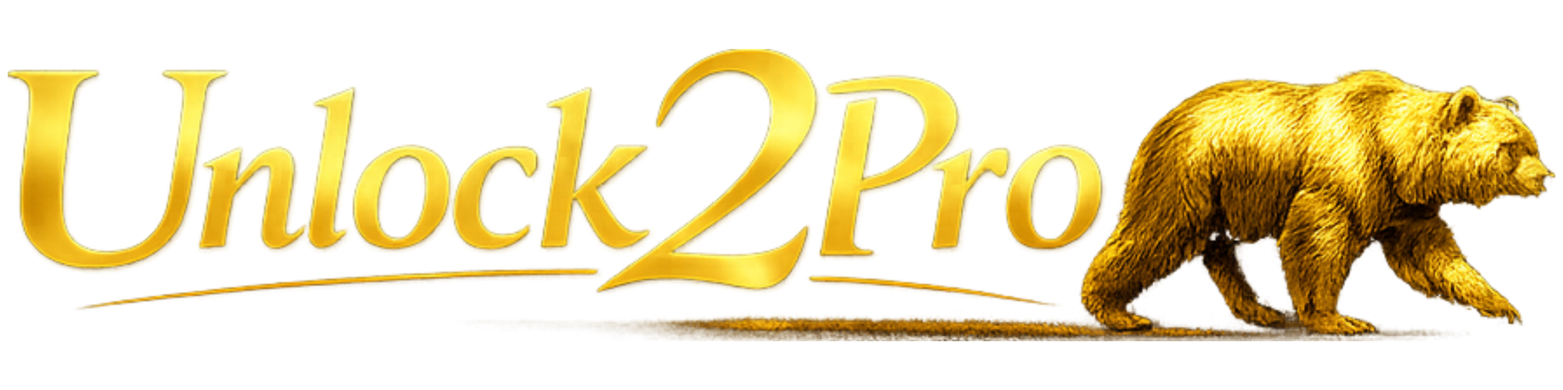 Unlock2Pro Logo